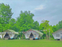 2020天气转凉发的朋友圈心情文案 遇事不决可问冬风