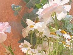 夏至节气经典句子 2020夏至说说优美好听