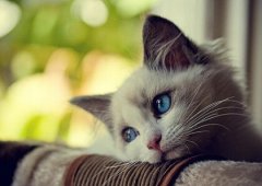 朋友圈搞笑说说配图：老师，你看上哪个家长就直说，别老开家长会